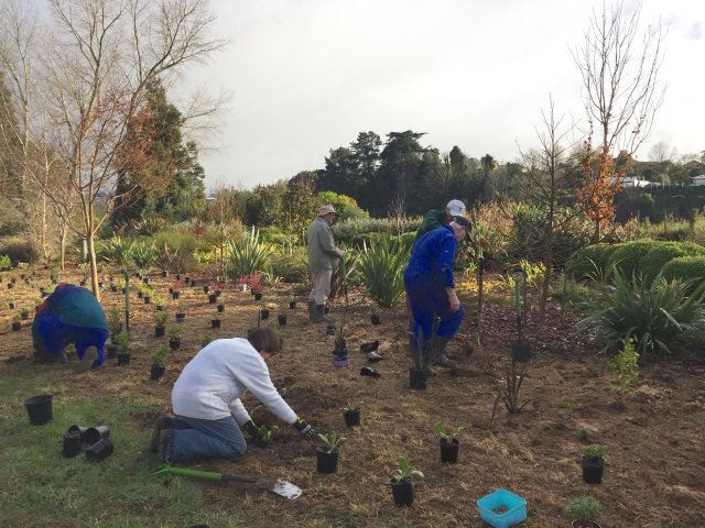 Extending the top planting 1. Cambridge Tree Trust